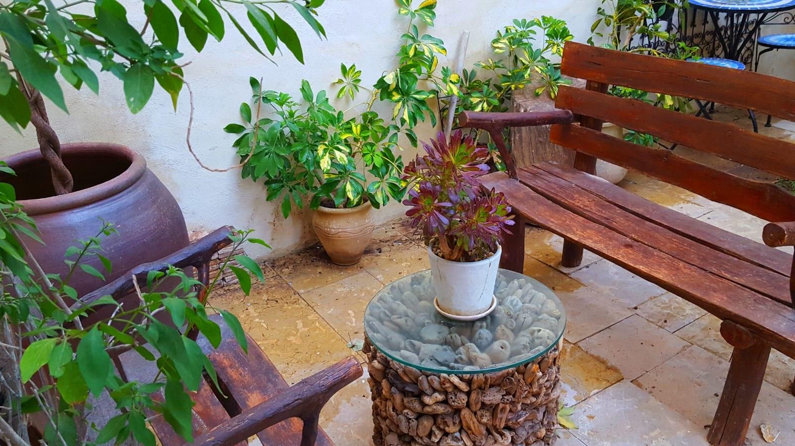 הגן הקסום בעיר העתיקה 7