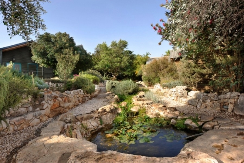נפלאות הכנרת 11