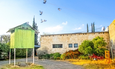 בוסתן התבור 2