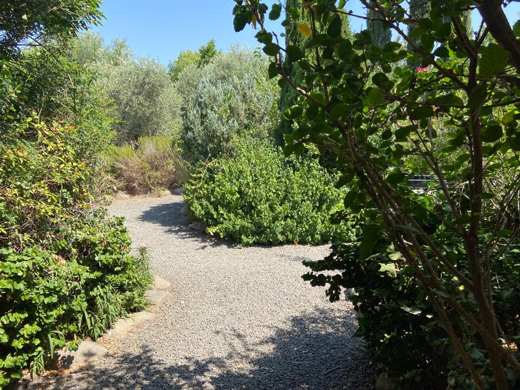 בוסתן התבור 38