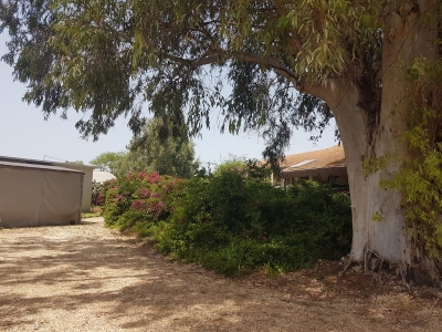 פינה רומנטית 5