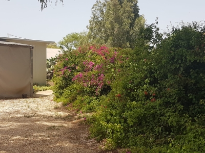 פינה רומנטית 10